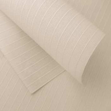 Жалюзі вертикальні AMSTERDAM 6004 Beige